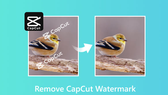 How to remove CapCut watermark ( Free & Easy in 2025 )